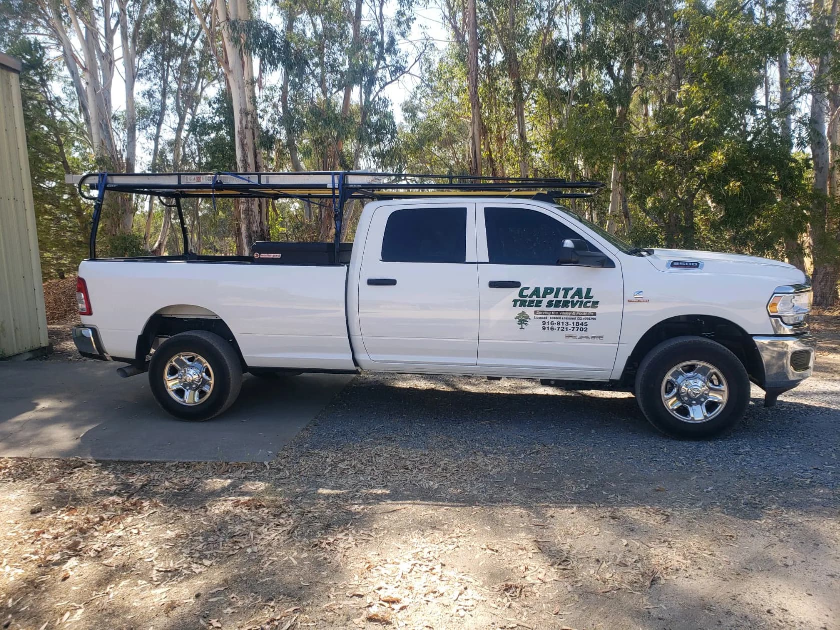 Tree services in Nevada County, California