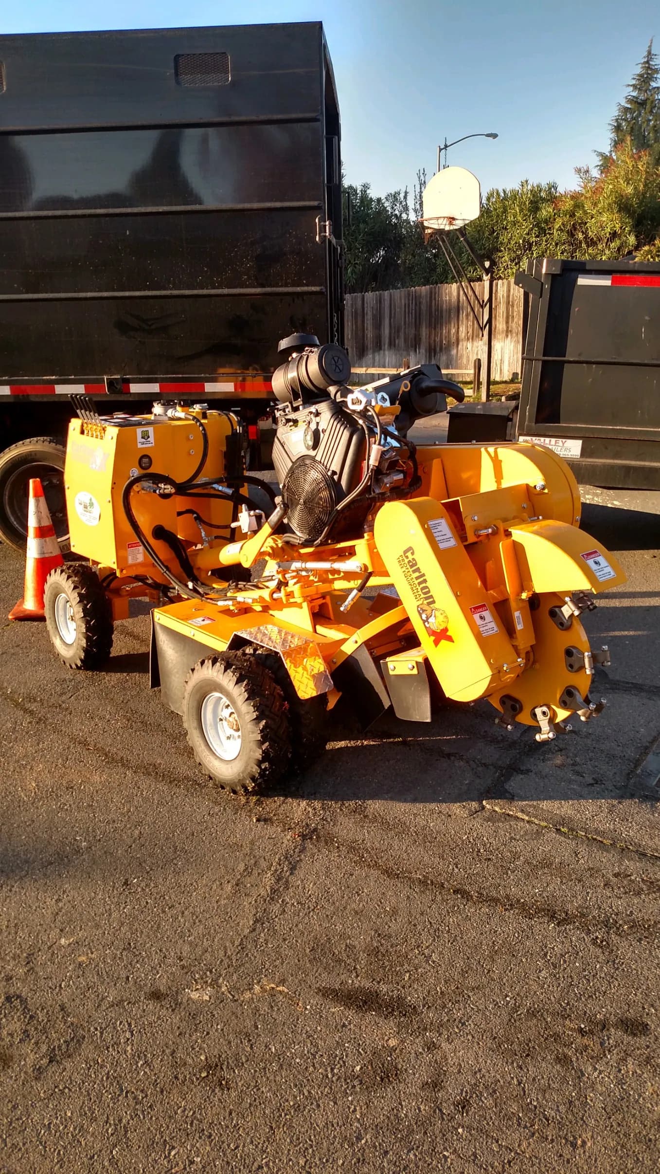 Tree service project in Antelope