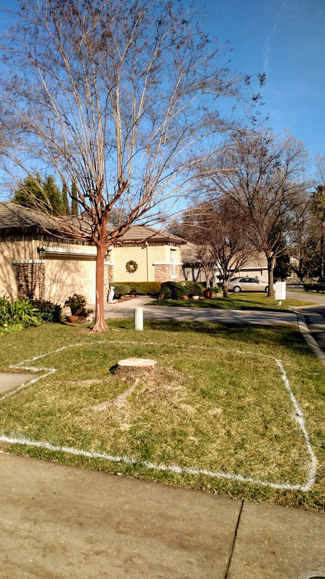 Land Clearing project example 2