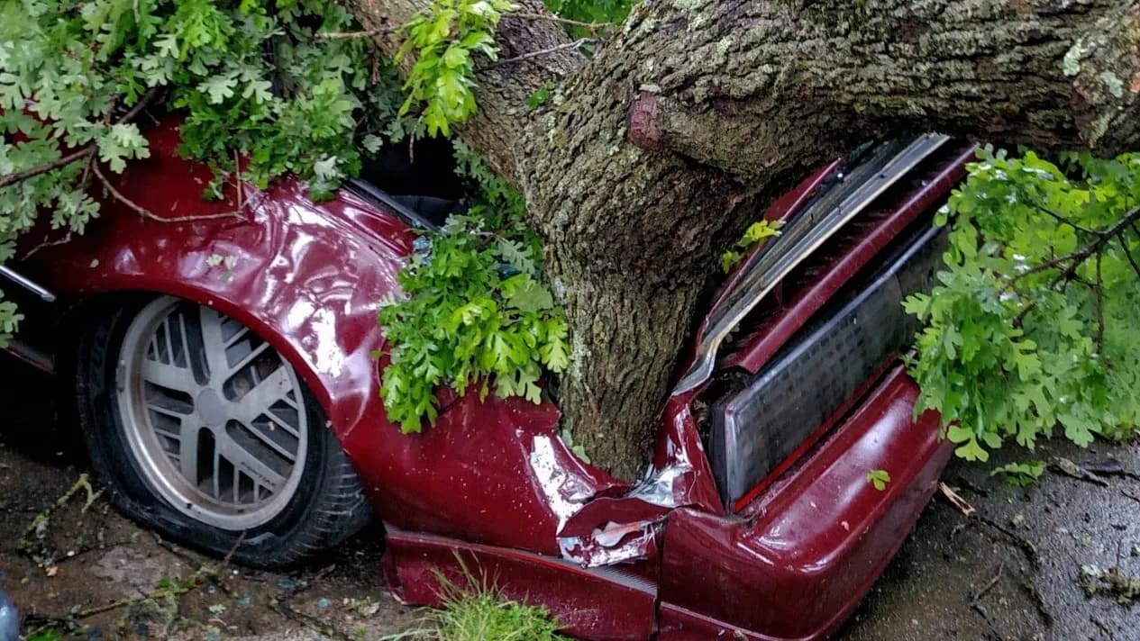 Emergency Tree Service - Capital Tree Service